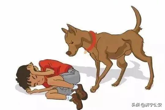 犬病的发现及护理常识,犬伤处置规范最新指南