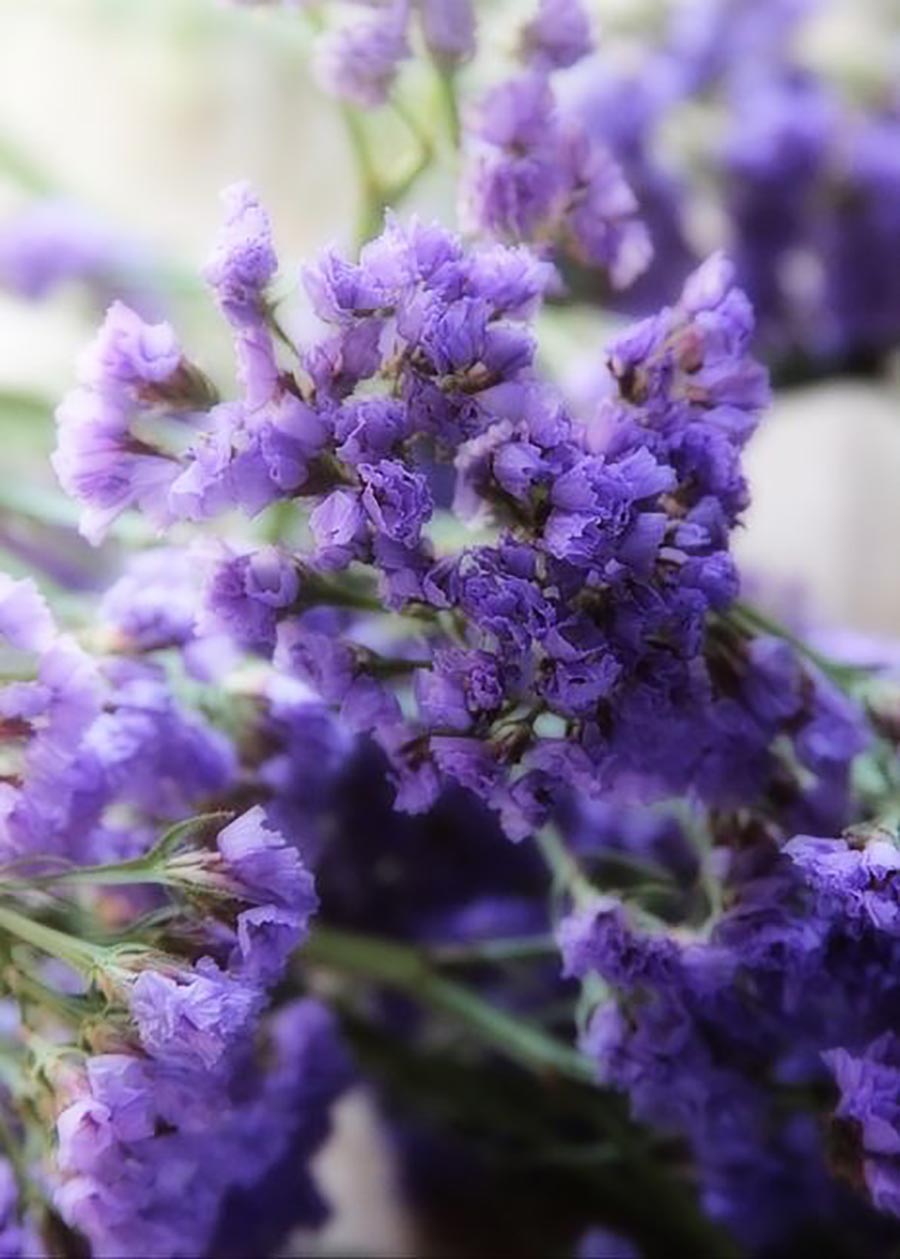 ins风房间干花布置用品,家居干花布置