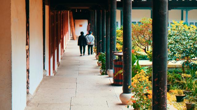 浙江这座5*级A**寺院景区，让我这俗人第一次有了想要“出家”的冲动