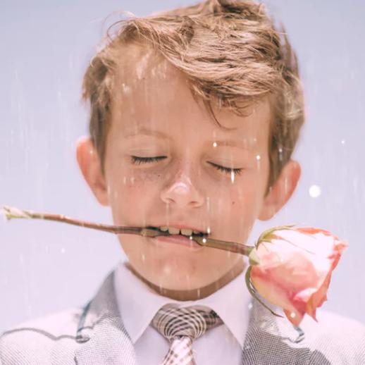 新型材料硅藻泥,硅藻泥科普