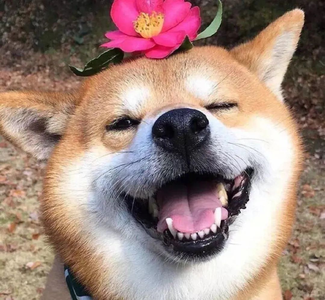 苏州疾控发布最新消息,苏州疾控专家最新提醒