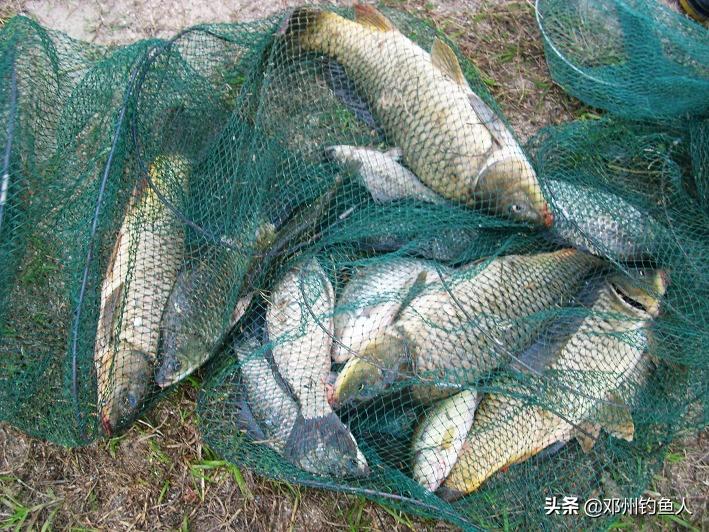 钓鱼的技巧之野钓视频,冬季钓鱼视频野钓看漂技巧