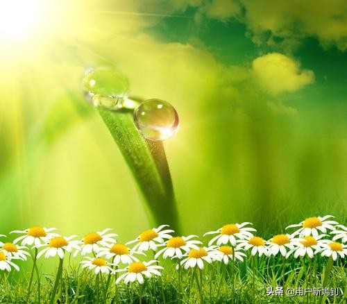 喜欢一个人得不到又放不下怎么办,喜欢她却得不到她