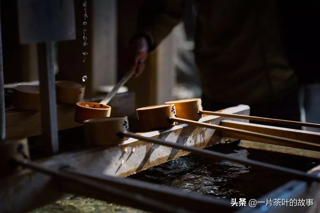 什么是普洱茶知识专业讲解,了解普洱茶知识专业讲解