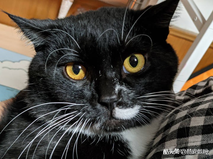 pixel4xl深度评测,pixel4xl最大亮度