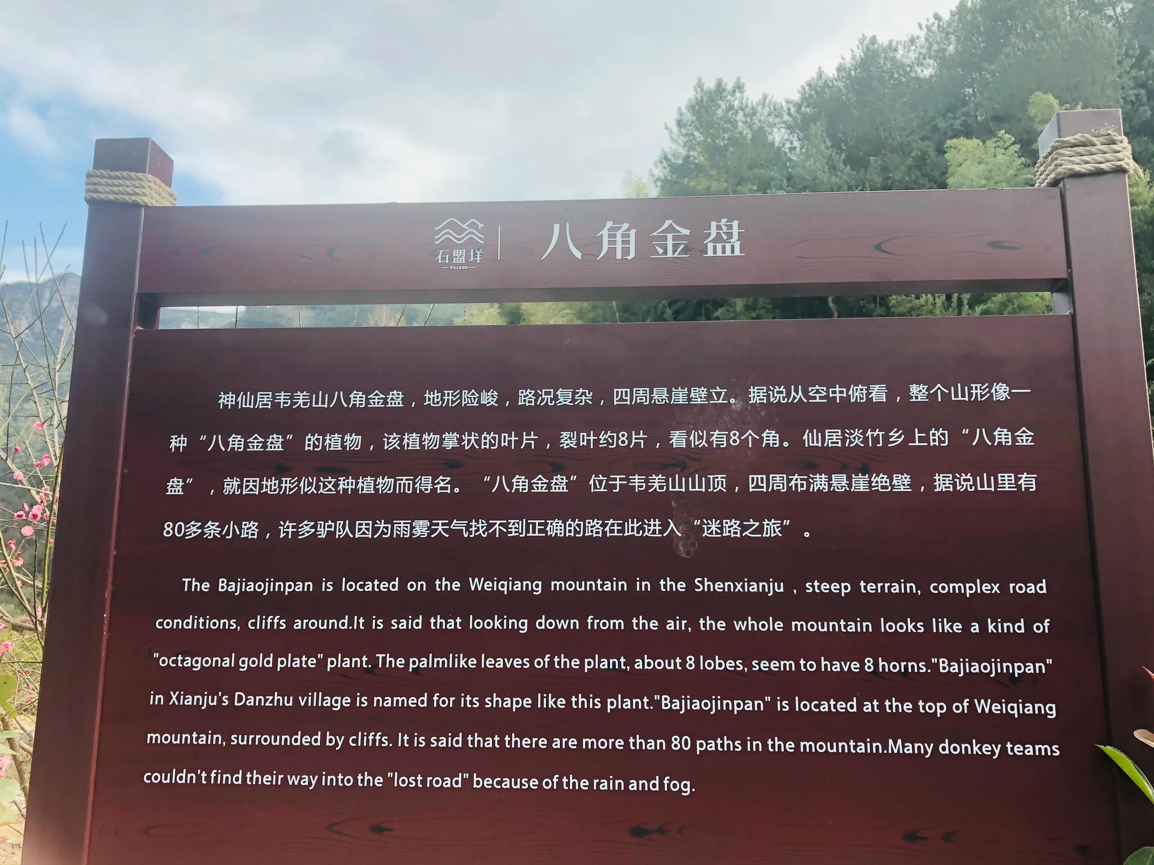 误打误撞进入传说中的八角金盘