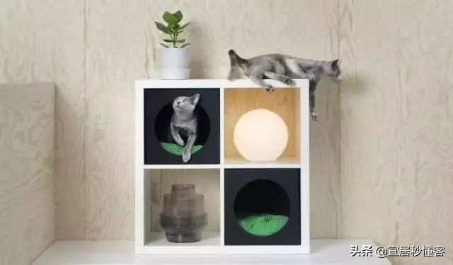 宜家最好用的宠物,宜家中可以给宠物购买的物品