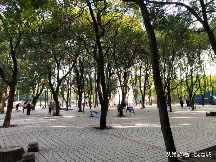 想在岳阳买房,五六十万买个房