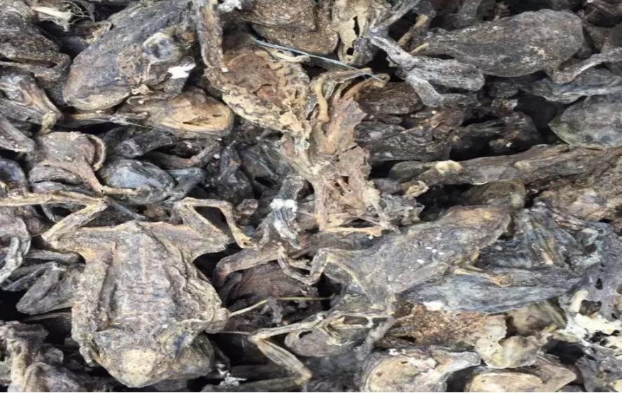 五独合剂,养殖必备,久病难治专用药