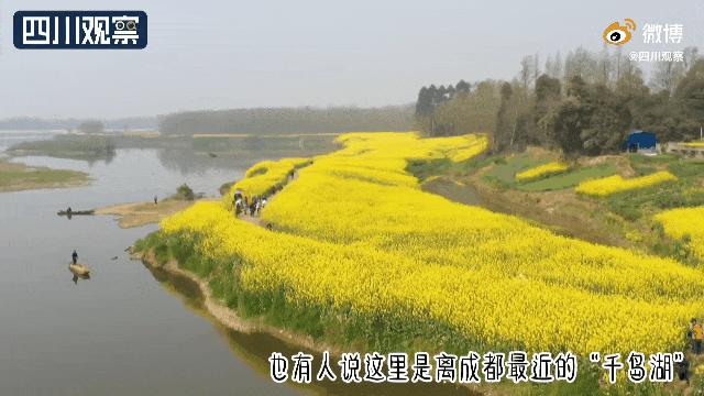 成都春游好去处周末 (成都周边周末春游推荐)