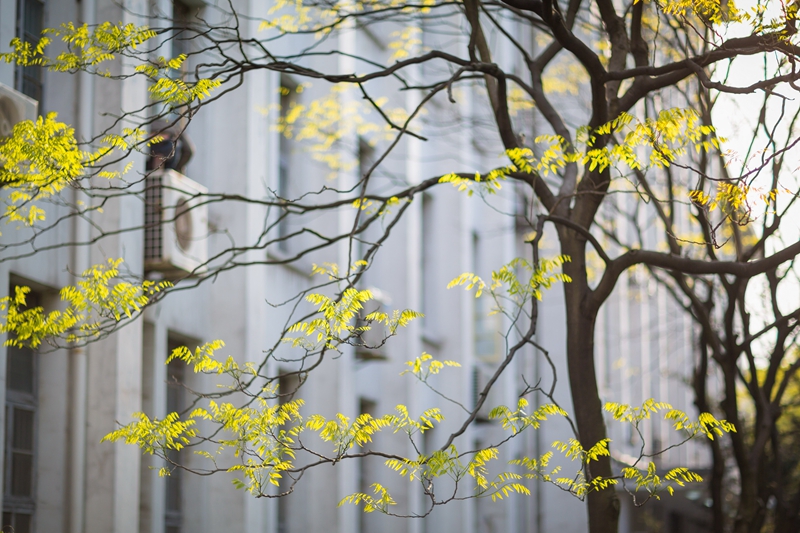 浙江外国语学院的女生,浙江外国语学院校园风光