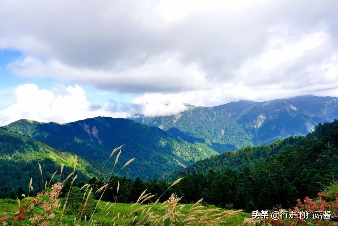 台湾清境农场照片,清境农场青青草原