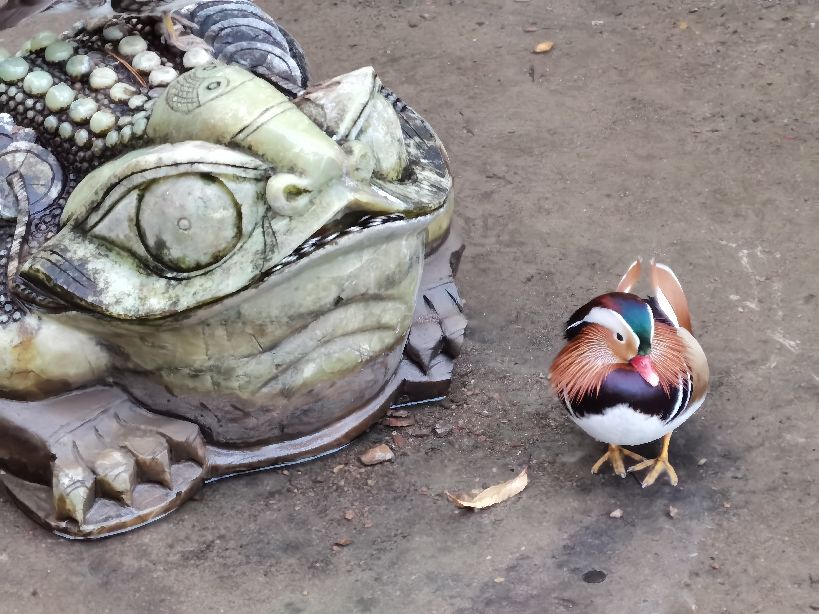 大连老虎滩5a景区,大连老虎滩5馆旅游攻略