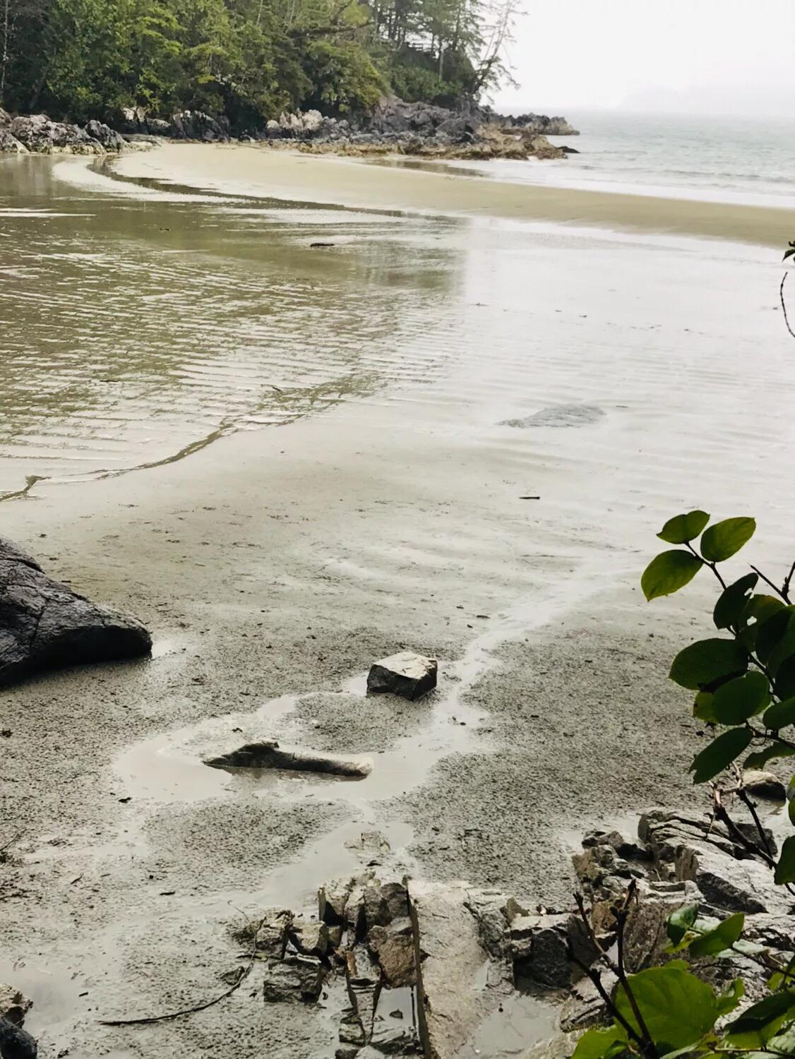 加拿大北方群岛旅游,加拿大托菲诺旅游