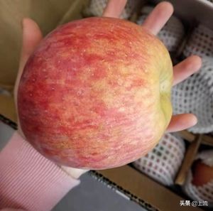 山东什么都大？*疆新**人不服