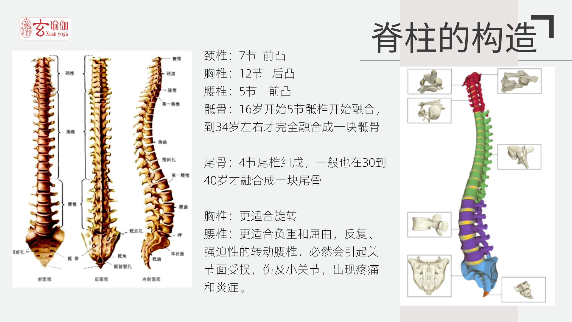 玄瑜伽喊你免费参加缓解腰疼的理疗瑜伽线上课程啦