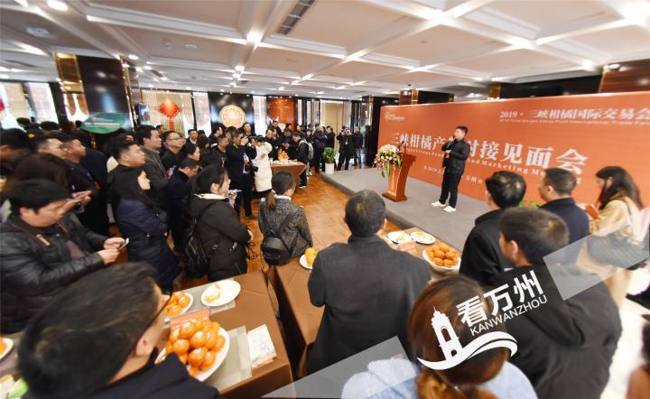 三峡柑橘展馆交易会,三峡柑橘国际交易会快报