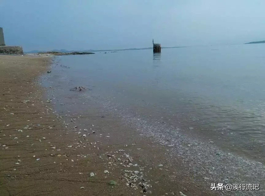 锦州世博园公交车时间表,锦州世博园9月中旬