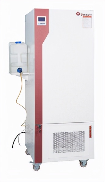 人工培养箱怎么选,培养箱几个阶段什么区别