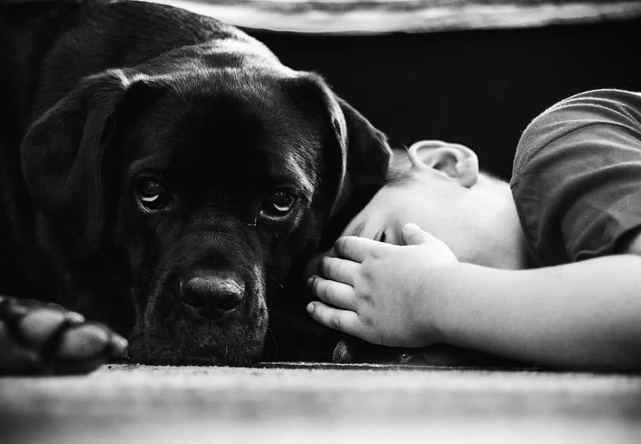 孩子性格内向又不听话,孩子自卑不合群怎么引导