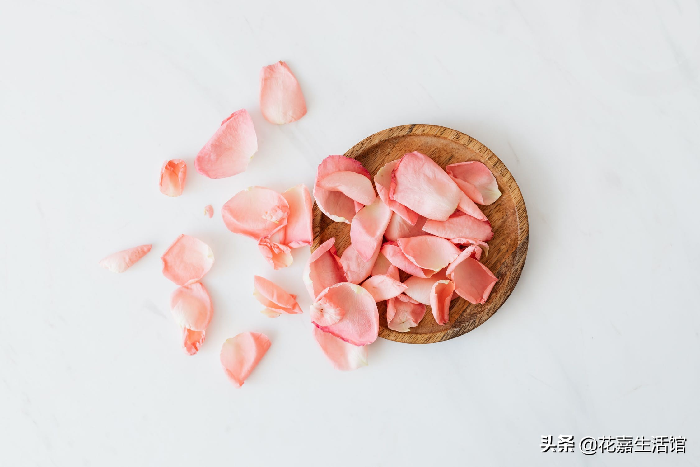 芒种收获幸福种下希望,芒种收获及感悟