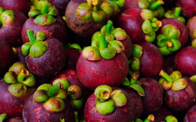 山竹怎么挑选果核少的,山竹怎么挑选公母