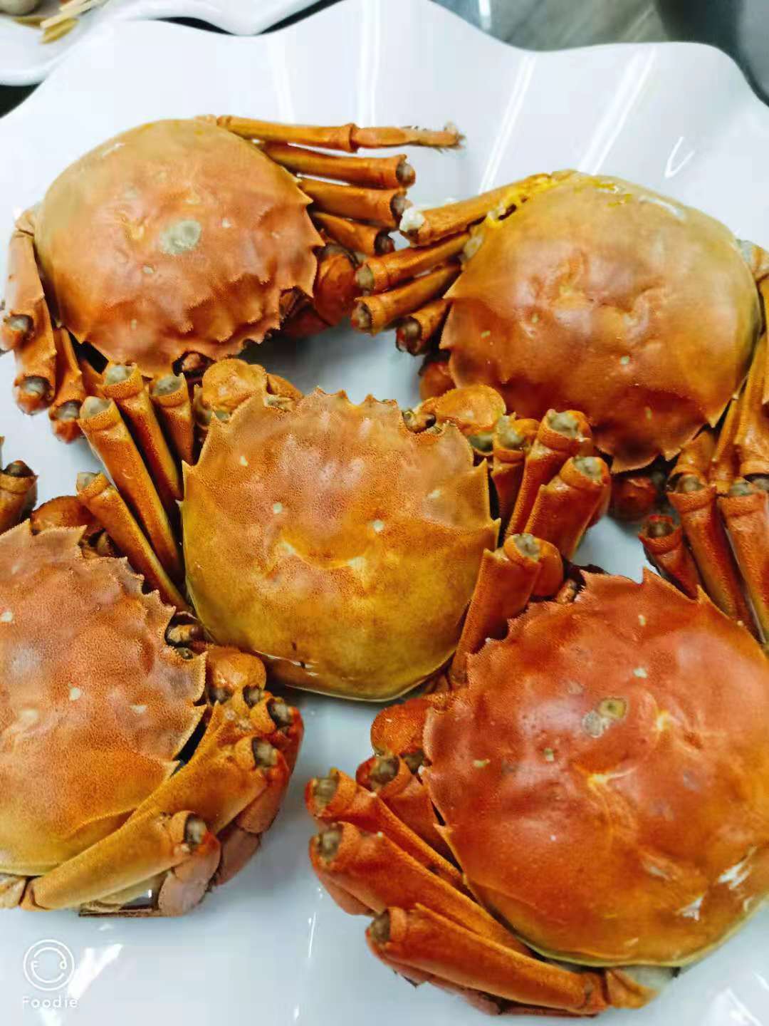 一群年轻人到三亚，摆pose，拍照