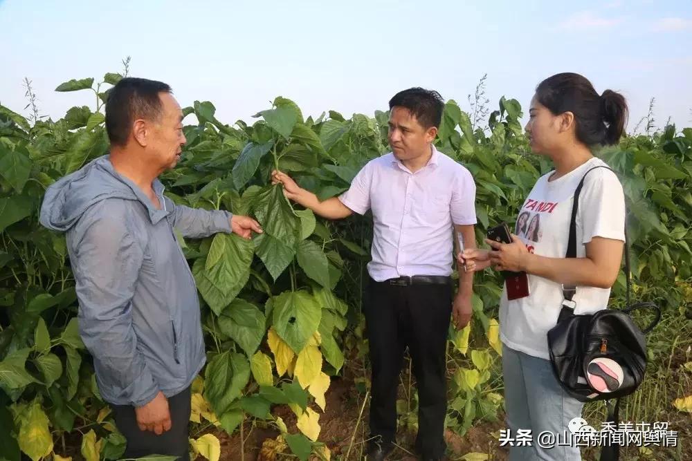 屯留区未来城市发展方向,屯留城区发展方向