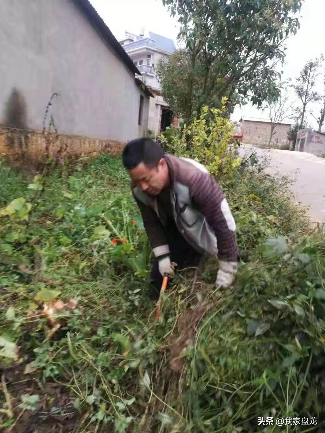 盘龙区脱贫攻坚,盘龙乡村脱贫攻坚