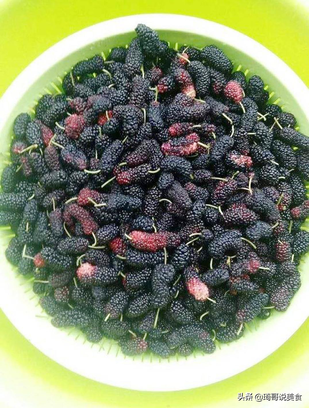 桑葚洗出许多小虫子能吃吗,洗桑葚要用盐吗