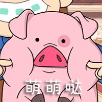 猪年限定款有哪些品牌,猪年限定哪款最值得购买