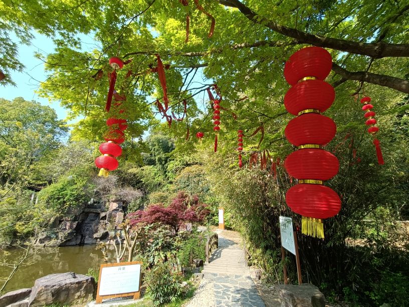 苏州第一高峰穹窿山,苏州最高的山穹窿在哪里