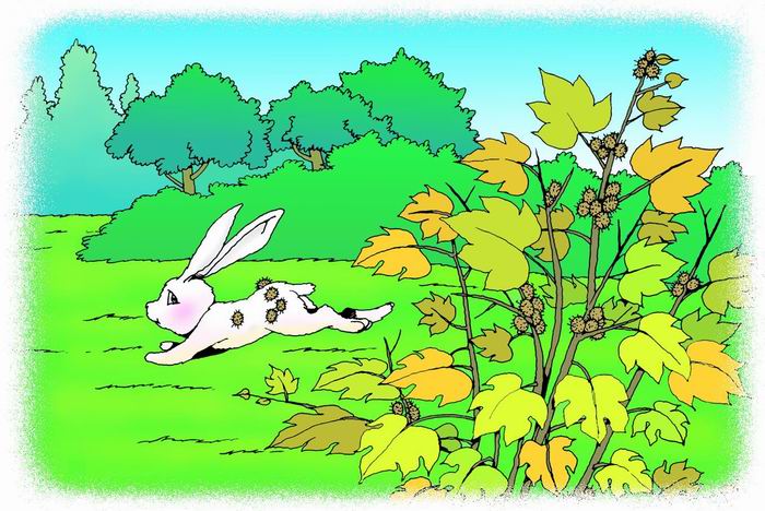 小学课文植物妈妈有办法完整版,植物妈妈有办法二年级课文原文