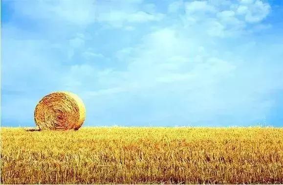 教育部取消大学本科专业名单,国家级一流本科专业详细名单