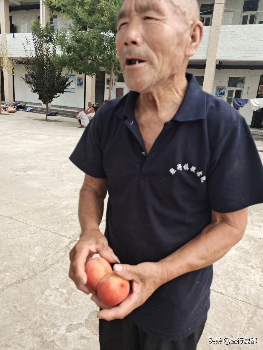 鲜桃送老人大禹公益联盟联合果乐坊看望禹州三个敬老院老人