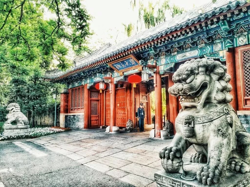 考研过来人的血泪忠告,19考研经验