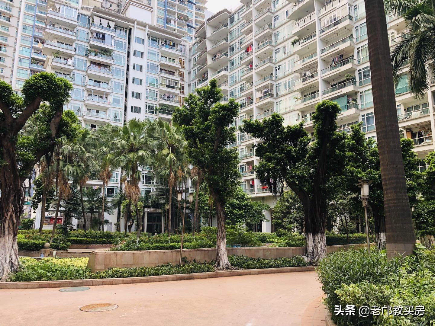 实验小学被打事件,实验小学发飙现场