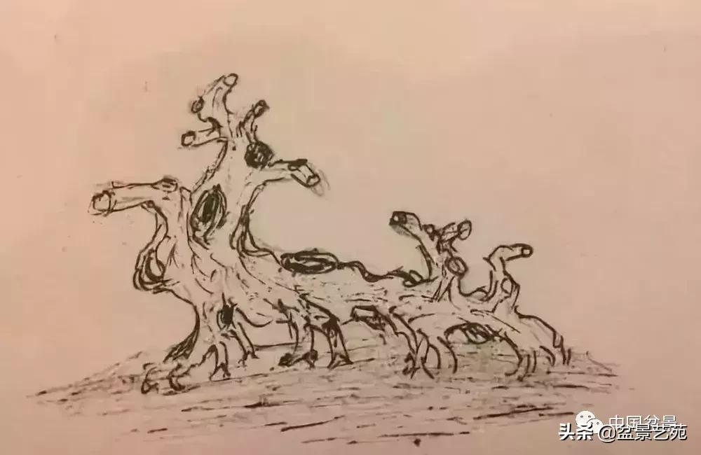 鏈存爲寰楀鐩嗘櫙,椤剁骇鏈存爲鐩嗘櫙娆h祻