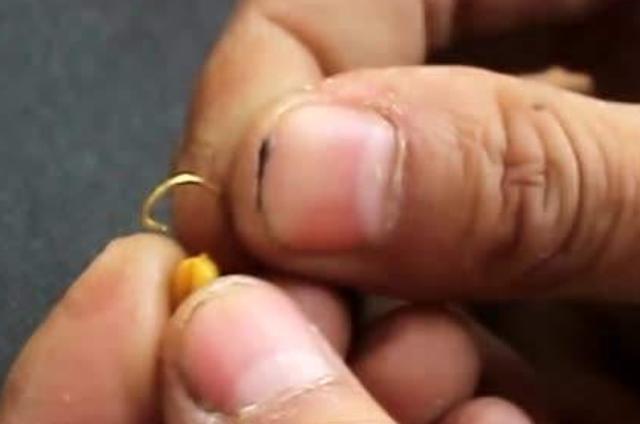 大板鲫钓了一尾又一尾,钓大板鲫公认最好活饵