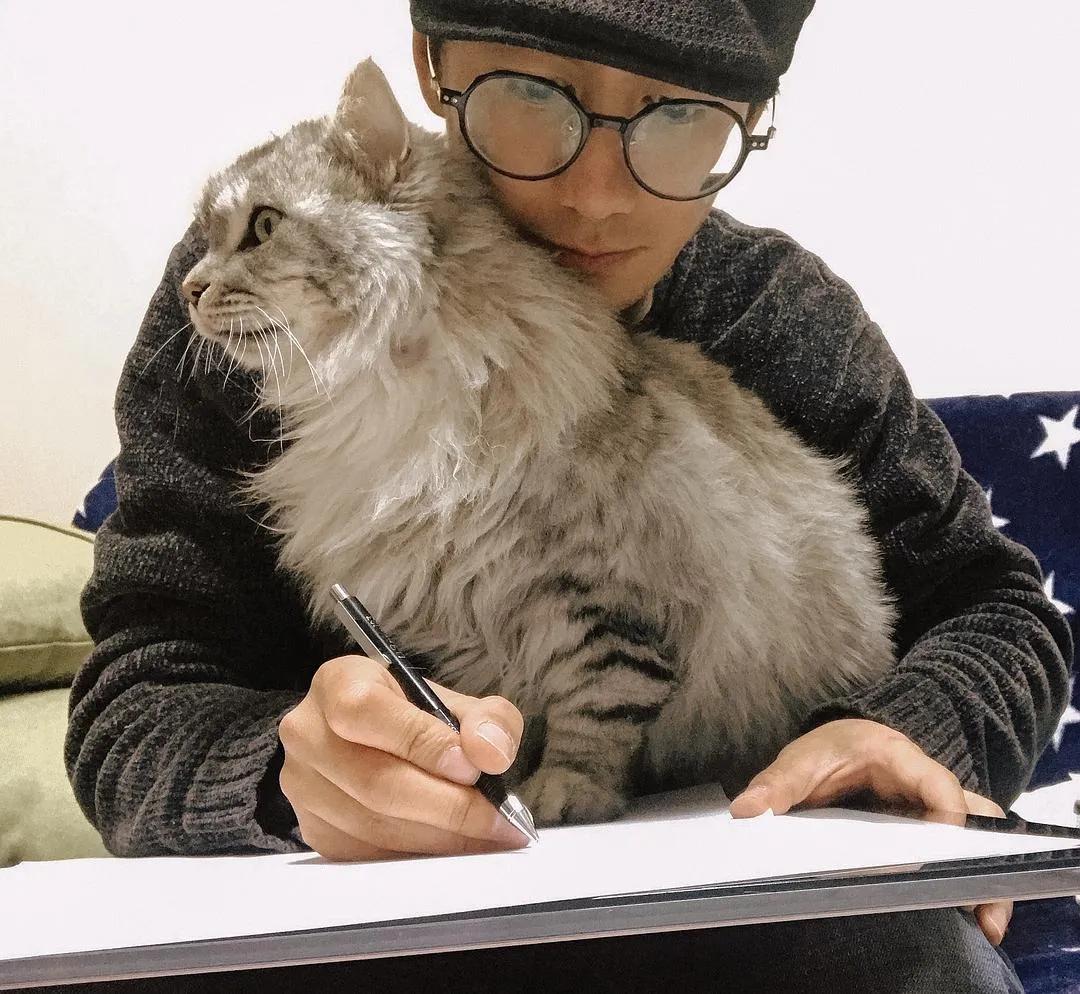 养猫人哭了 (朝九晚五适合养猫吗)