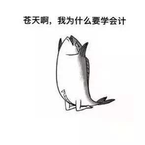 学会计的你们现在怎么样了,学会计的你目前怎么样