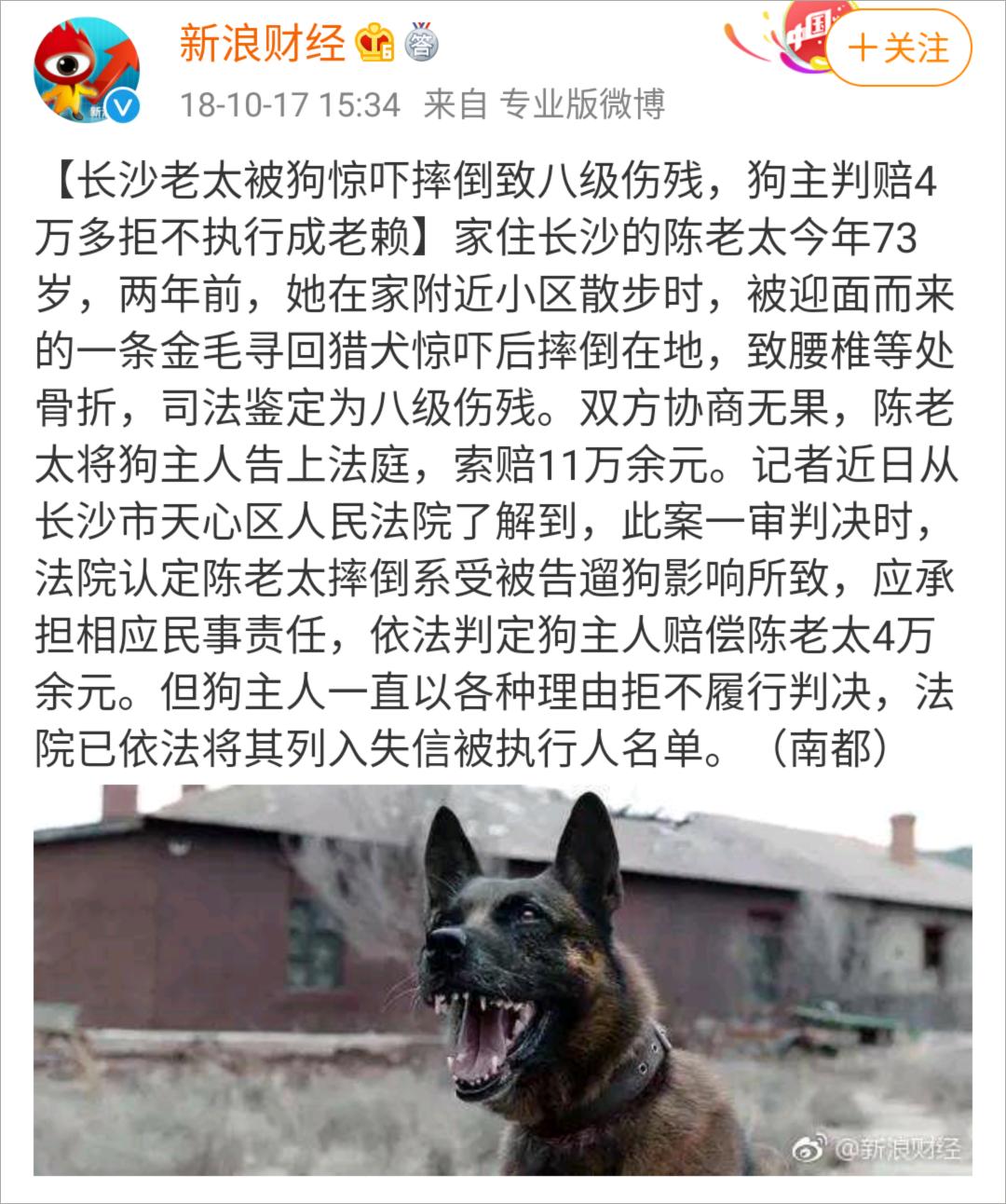 盘点怕狗人士遇到狗会有什么反应,怕狗人士遇狗正确方法