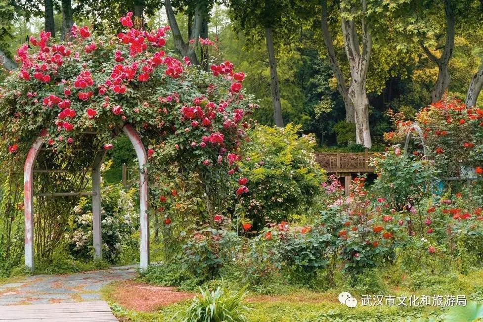 武汉国庆旅游攻略文案,武汉文旅国庆