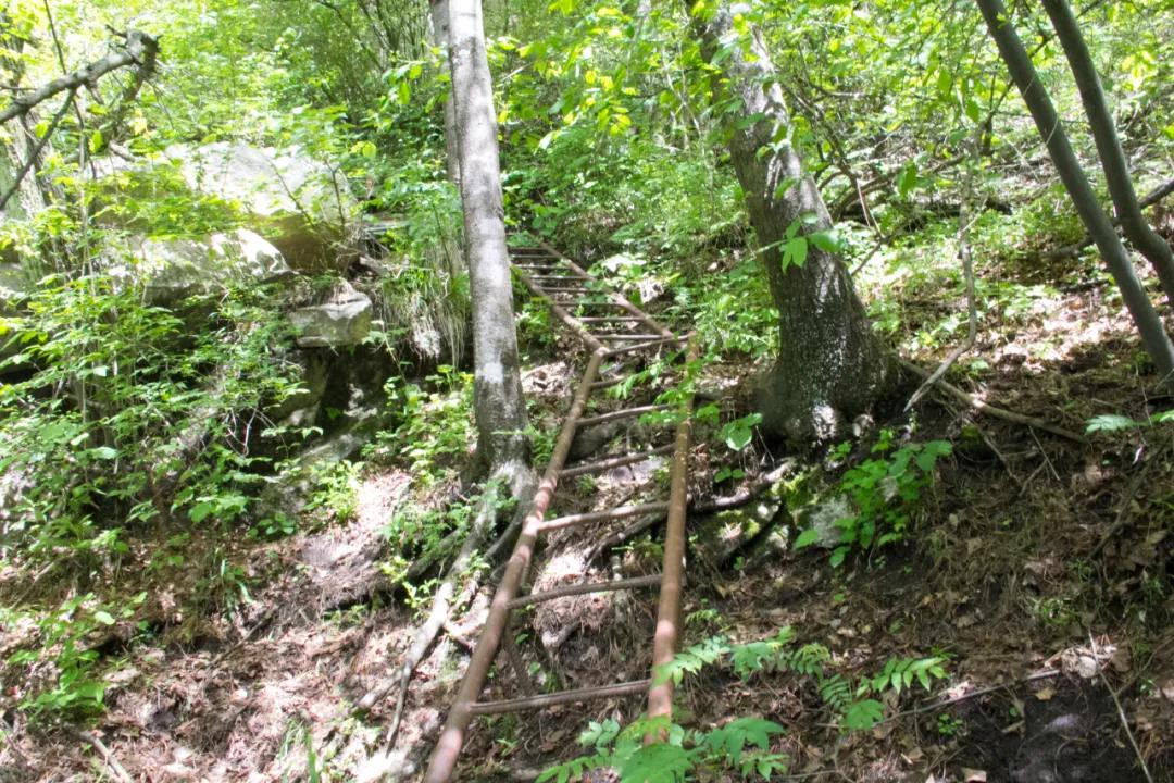 秦岭沣峪口上山有哪些景点,秦岭大坝沟瀑布