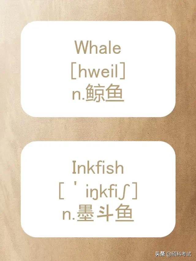 动物的英文拼写及音标,关于动物的单词及音标