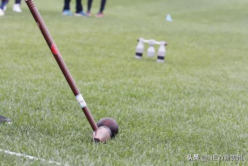 贵州少数民族文化,简述你对贵州省情的认识