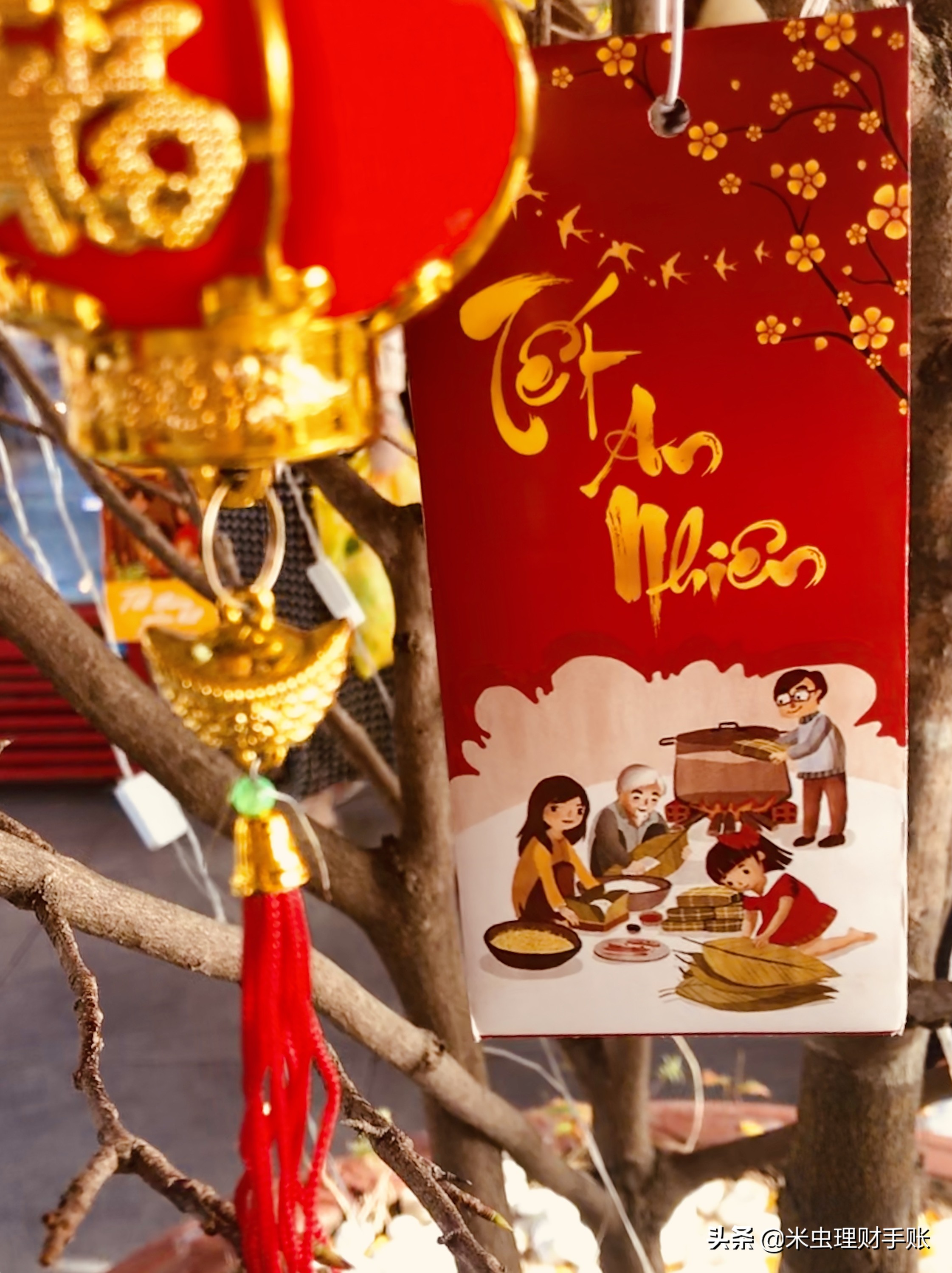 去越南旅游怎样避坑,去越南有什么坑