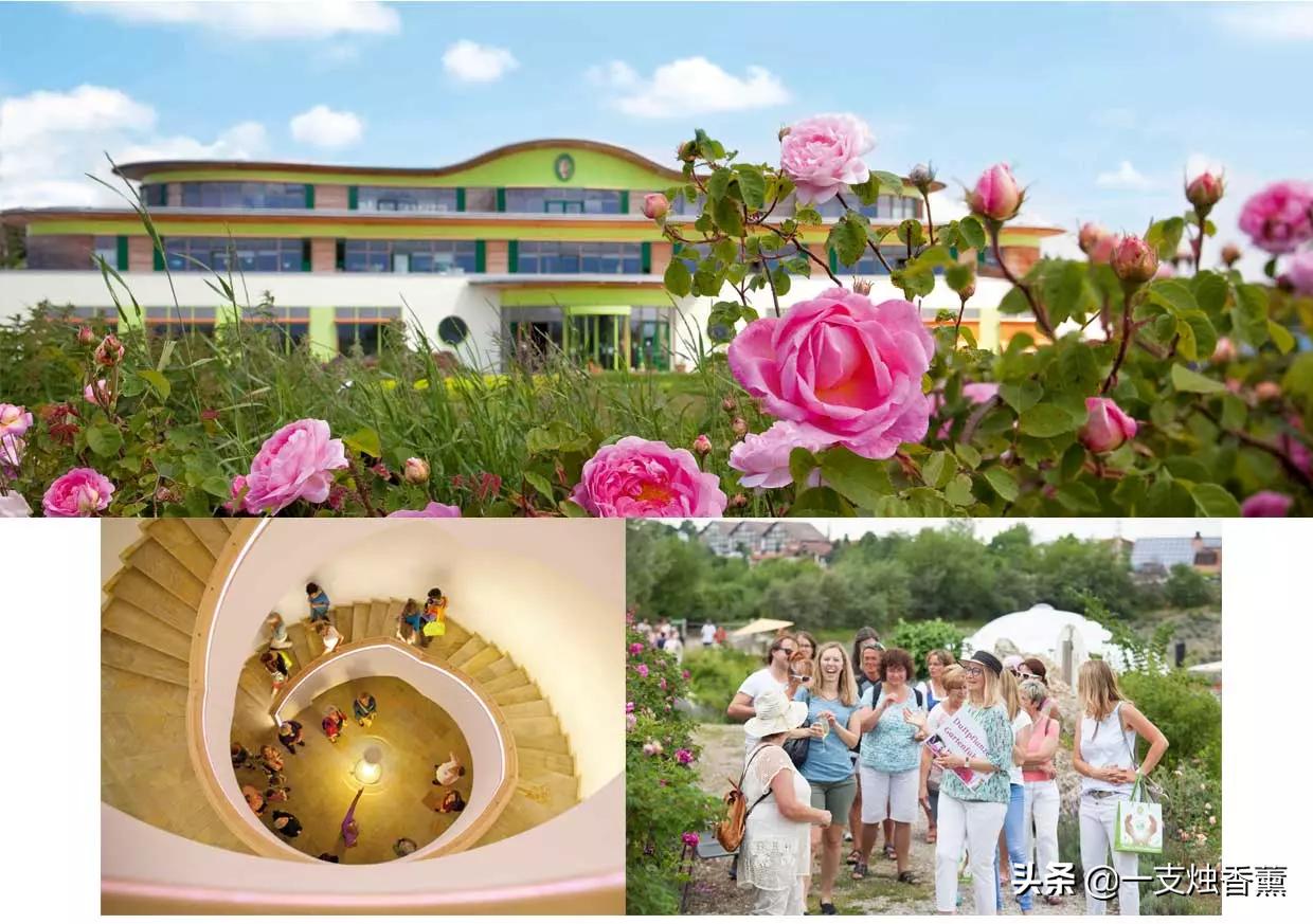 德国精油40年品牌,德国o家精油