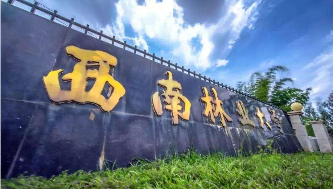 西南地区有几所985和211的大学,最迷惑人的四所大学