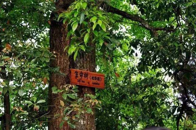 贵州深山里的苗寨,贵州深山神秘村落